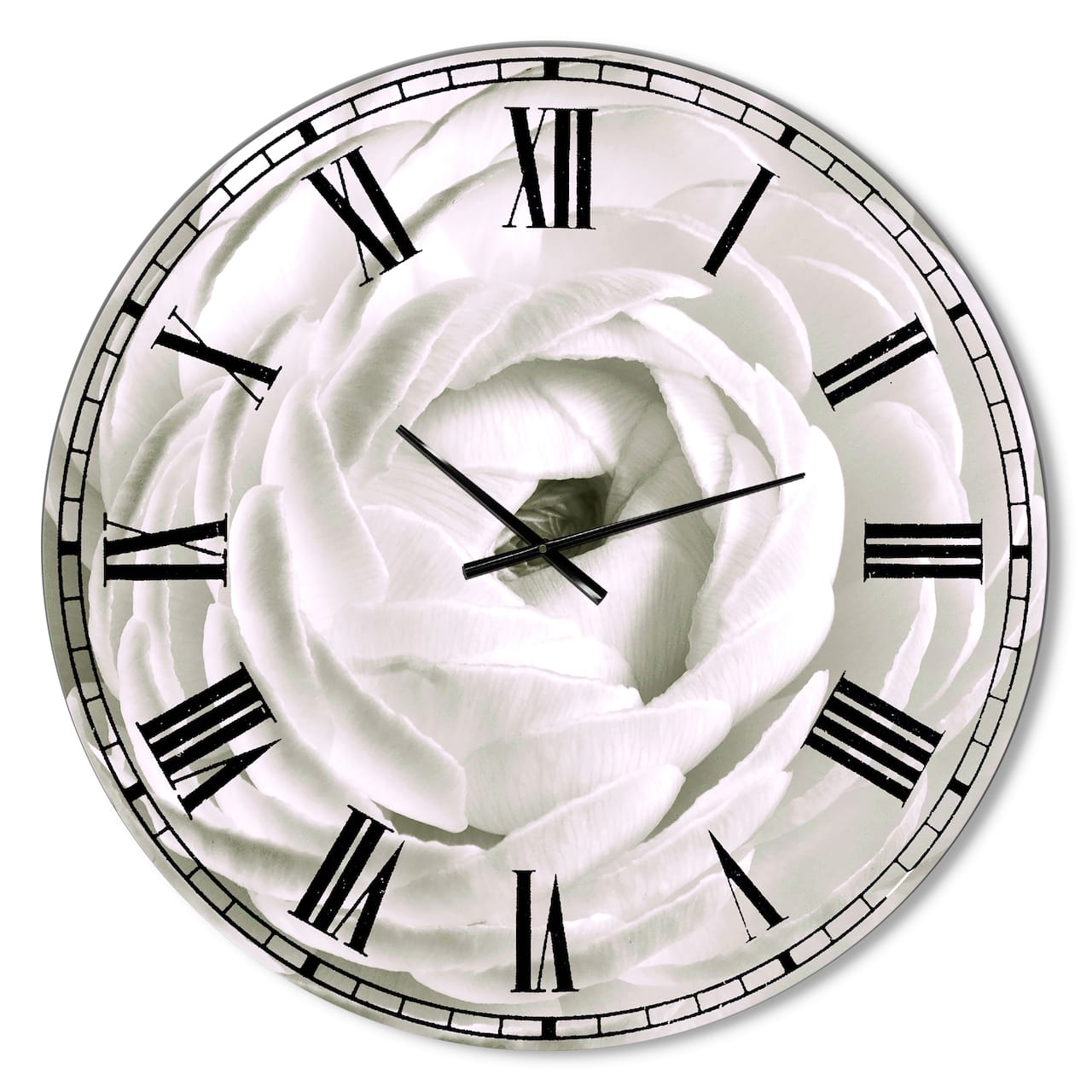 Designart White Ranunculus Close Up Large Cottage Wall Clock